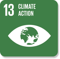 SDGS NO.13
